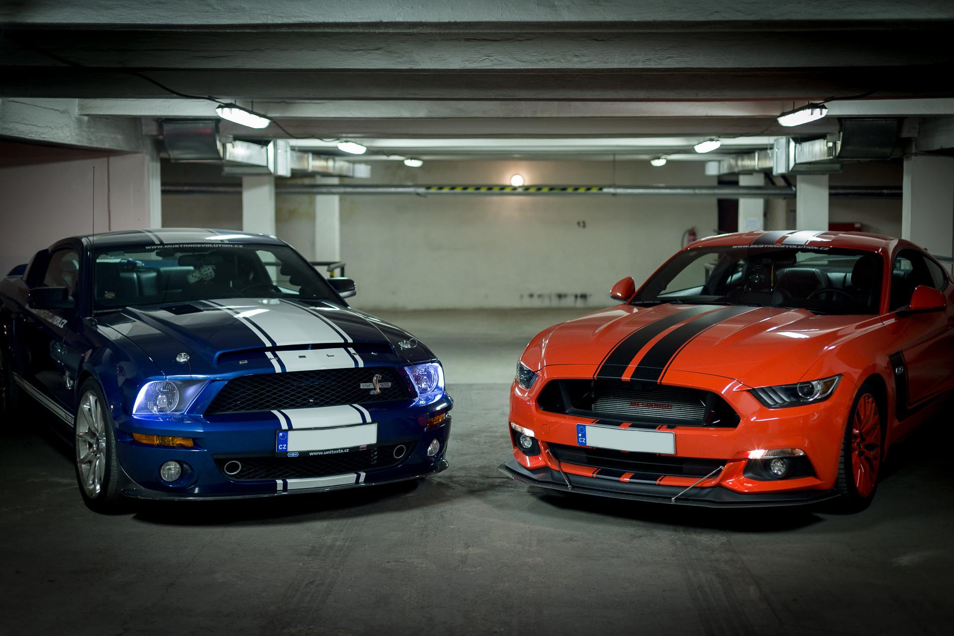 SHELBY GT 500 & MUSTANG 500ME