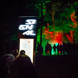 Signal festival 2021