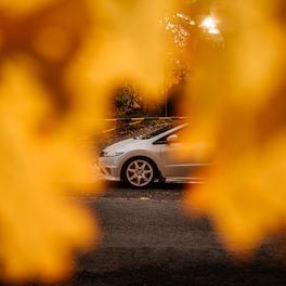 Honda Civic Type R (Championship white) autumn session