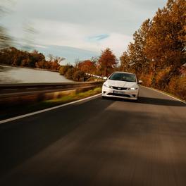 Honda Civic Type R (Championship white) autumn session